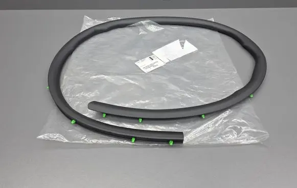 Opel Insignia B Front door rubber seal 13463938 013463938