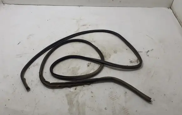 Trunk rubber seal (body)