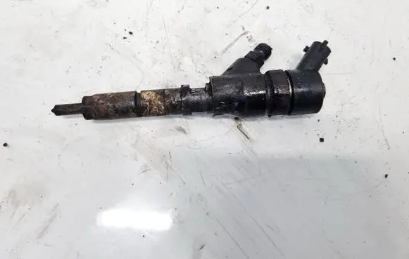 Citroen C5 Fuel injector 9640088780 0445110062
