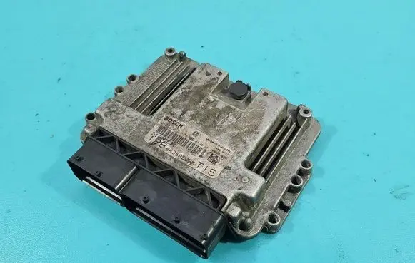 Engine control unit/module ECU