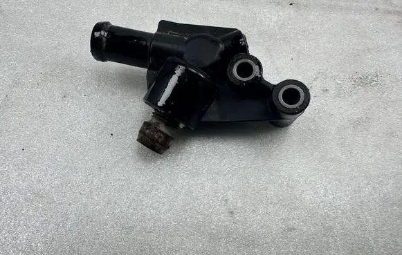 Thermostat/thermostat housing