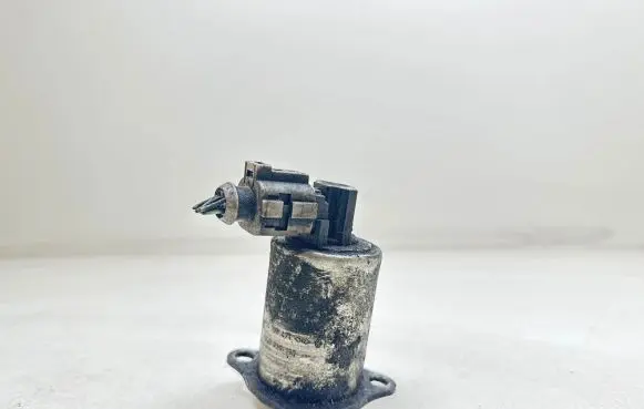 Renault Laguna II EGR valve 53389612