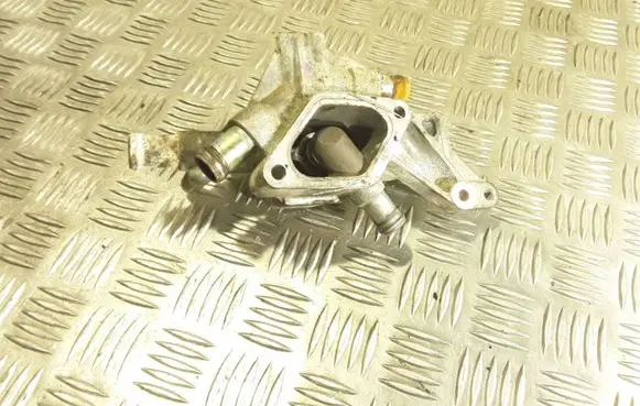 Thermostat/thermostat housing