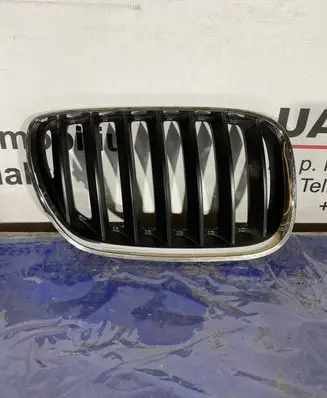 BMW X5 E53 Front bumper upper radiator grill 51137113738
