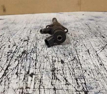 Peugeot Partner Fuel injector 0445110311