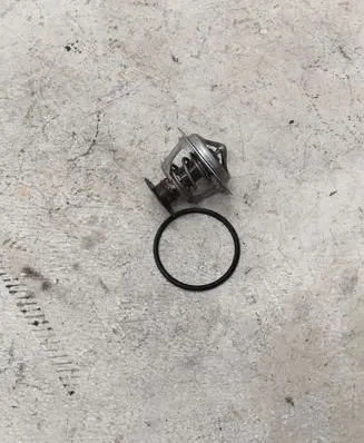 Ford Mustang VI Thermostat BL3E8575AB