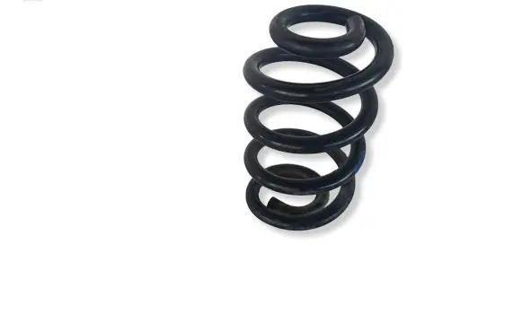 Nissan Interstar Front coil spring 