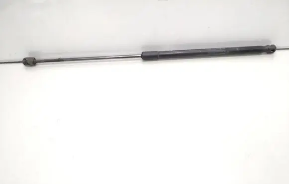 Tailgate/trunk strut/damper