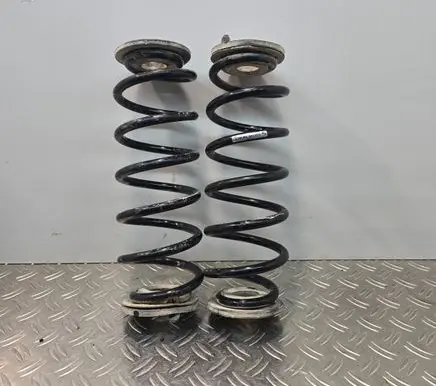 Skoda Octavia Mk2 (1Z) Rear coil spring