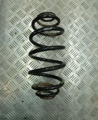 Rear coil spring