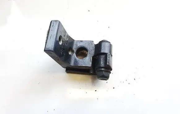 Rear door lower hinge