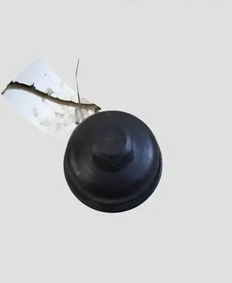Ford C-MAX II Oil filter cover