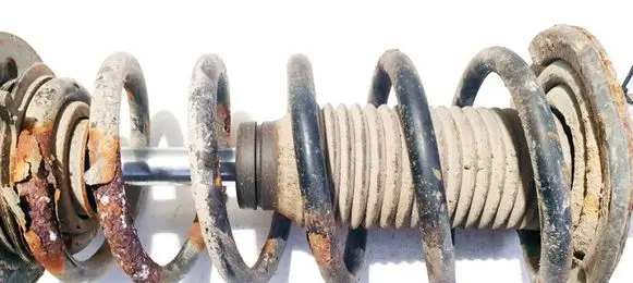 Chevrolet Captiva Front coil spring 