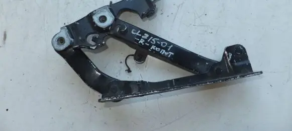 Mercedes-Benz CL C215 Engine bonnet/hood hinges 2118800228