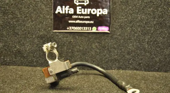 Audi Q7 4M Positive wiring loom 8S0915181