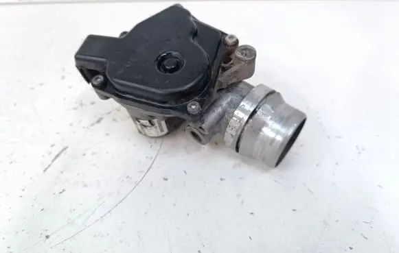 Nissan Juke I F15 Throttle valve 161A09794R