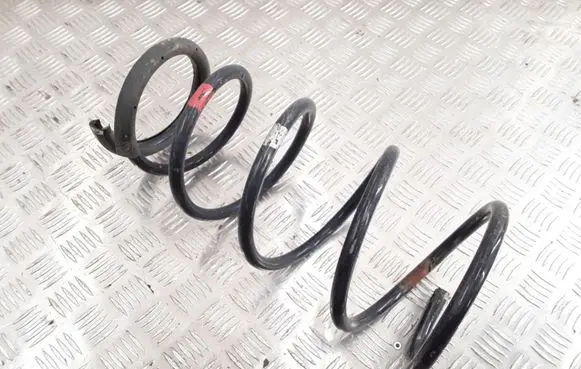 Front coil spring