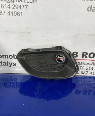 Front fog light trim/grill