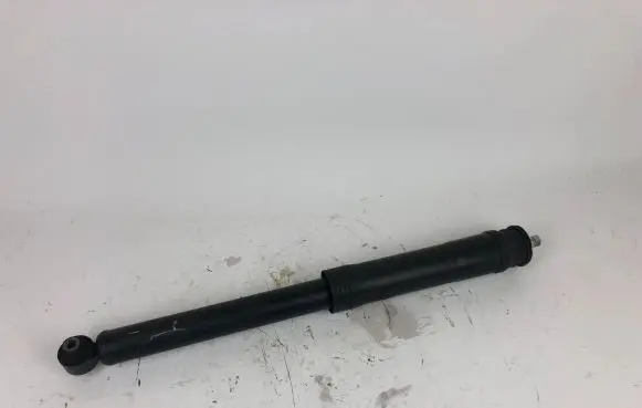 Toyota Mirai Rear shock absorber/damper 4853062010