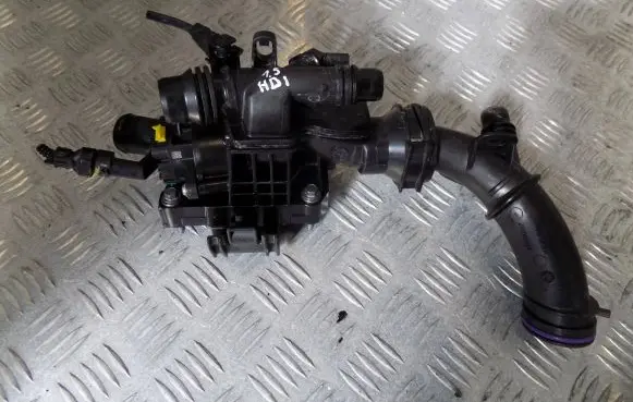 Thermostat/thermostat housing