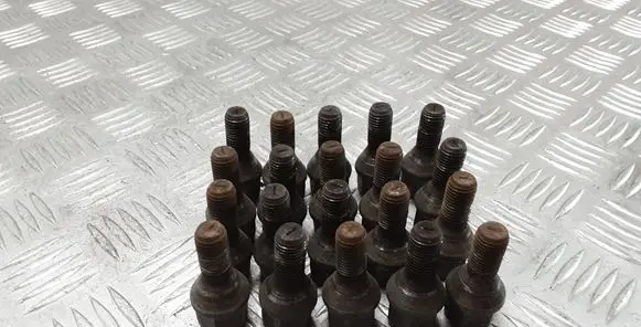 Renault Laguna II Nuts/bolts 