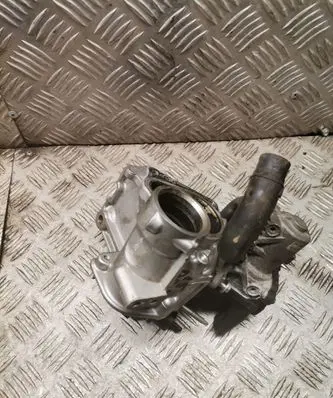 Renault Megane III EGR valve 7003681404