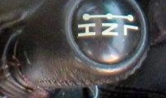 Toyota Land Cruiser (J120) Gear selector/shifter in gearbox 