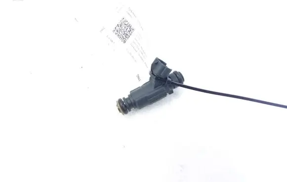 Citroen C3 Fuel injector 9676017480