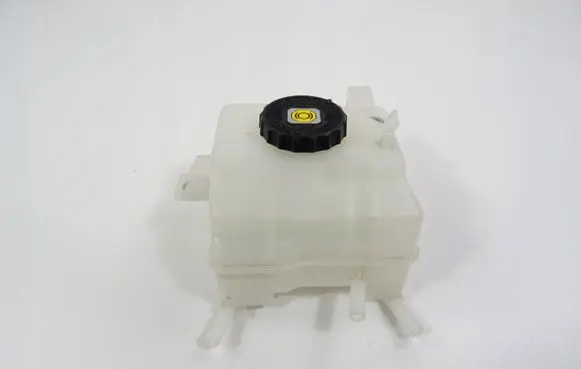 Toyota RAV 4 (XA50) Brake fluid reservoir 