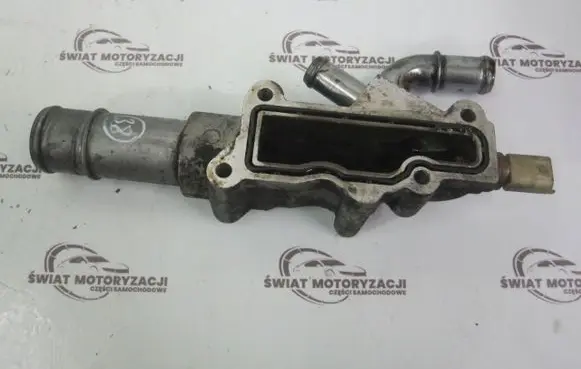 Thermostat/thermostat housing