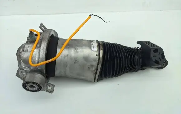 Porsche Cayenne (9PA) Rear shock absorber/damper 7L5616020H 169ATE046BD71