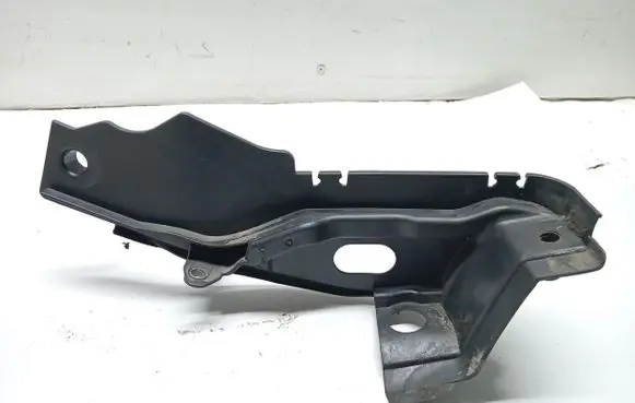Renault Fluence Other front door trim element 668630020R