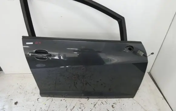Seat Ibiza IV (6J,6P) Front door 