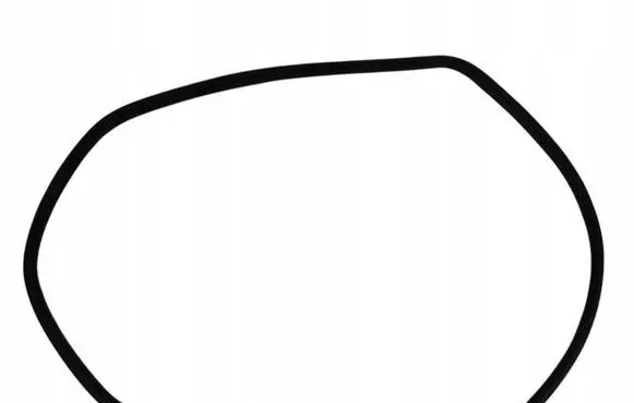 Mercedes-Benz B W245 Front door rubber seal A1696920076