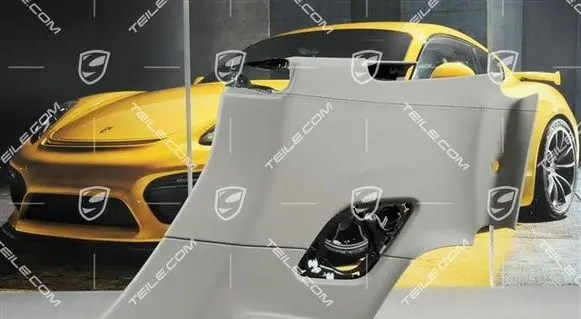 Porsche 911 991 Parcel shelf load cover 991555072169B0