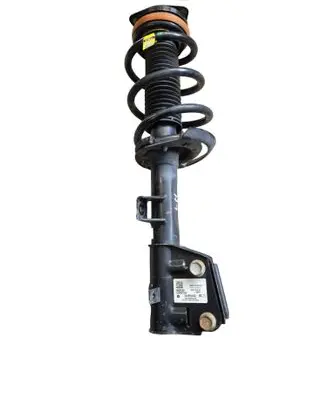 Chrysler Pacifica Front shock absorber/damper P68248735AF 824904012359
