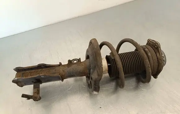Opel Insignia B Front shock absorber with coil spring 