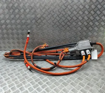 Tesla Model S Other wiring loom 109700000F 105587410C