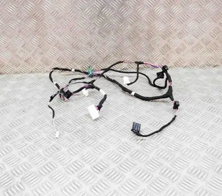 Tesla Model 3 Other wiring loom 812144970 T85556B