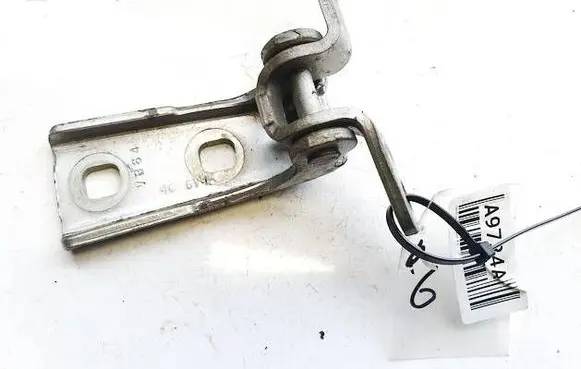 Rear door lower hinge