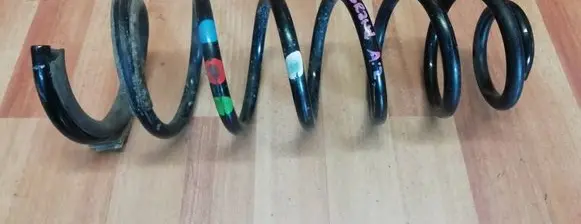Rear coil spring