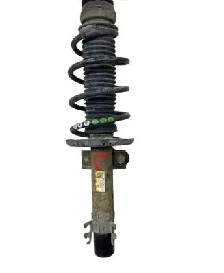 Skoda Fabia Mk3 (NJ) Front shock absorber/damper 6R0413031BF