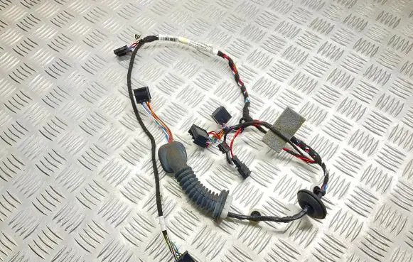 Rear door wiring loom