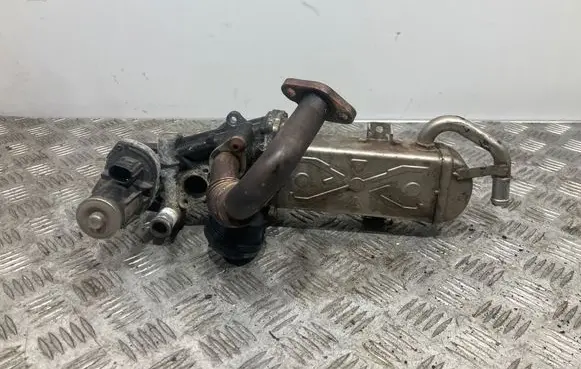 Skoda Superb B6 (3T) EGR valve cooler 03L131512BB