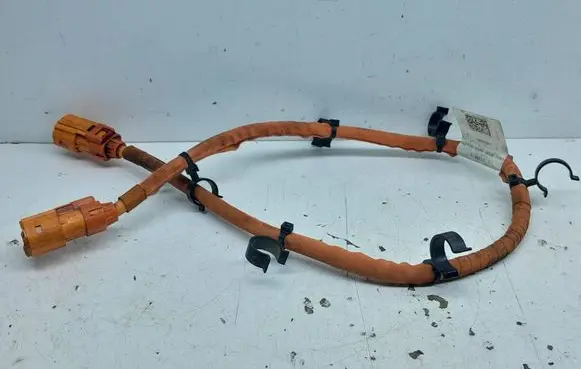 Cupra Formentor Other wiring loom 3GD971475