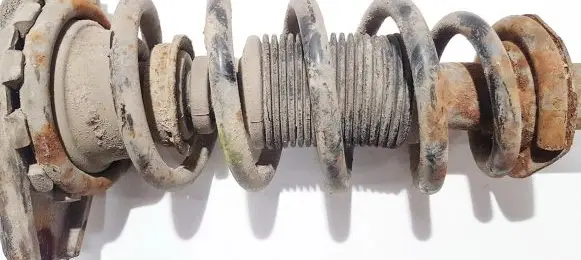 Nissan Primera Rear coil spring