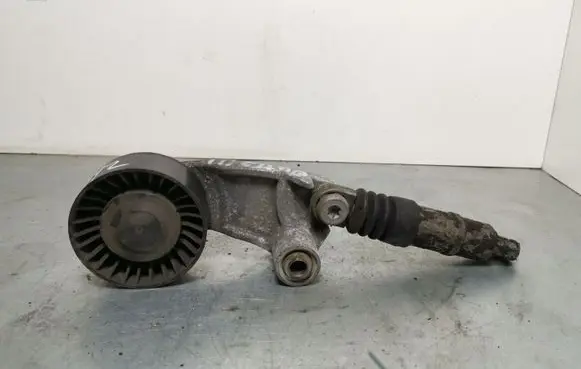 Subaru Outback Generator/alternator belt tensioner 55272401