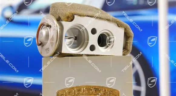 Porsche Cayenne (92A) Air conditioning (A/C) expansion valve 95557231911