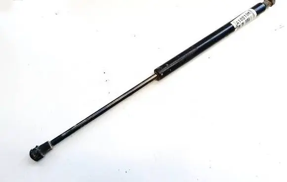 Tailgate/trunk strut/damper