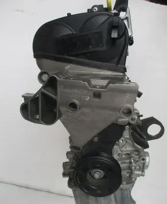 Skoda Rapid (120G, 130G, 135G) Engine